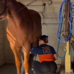 I Got Another Horse Girl video