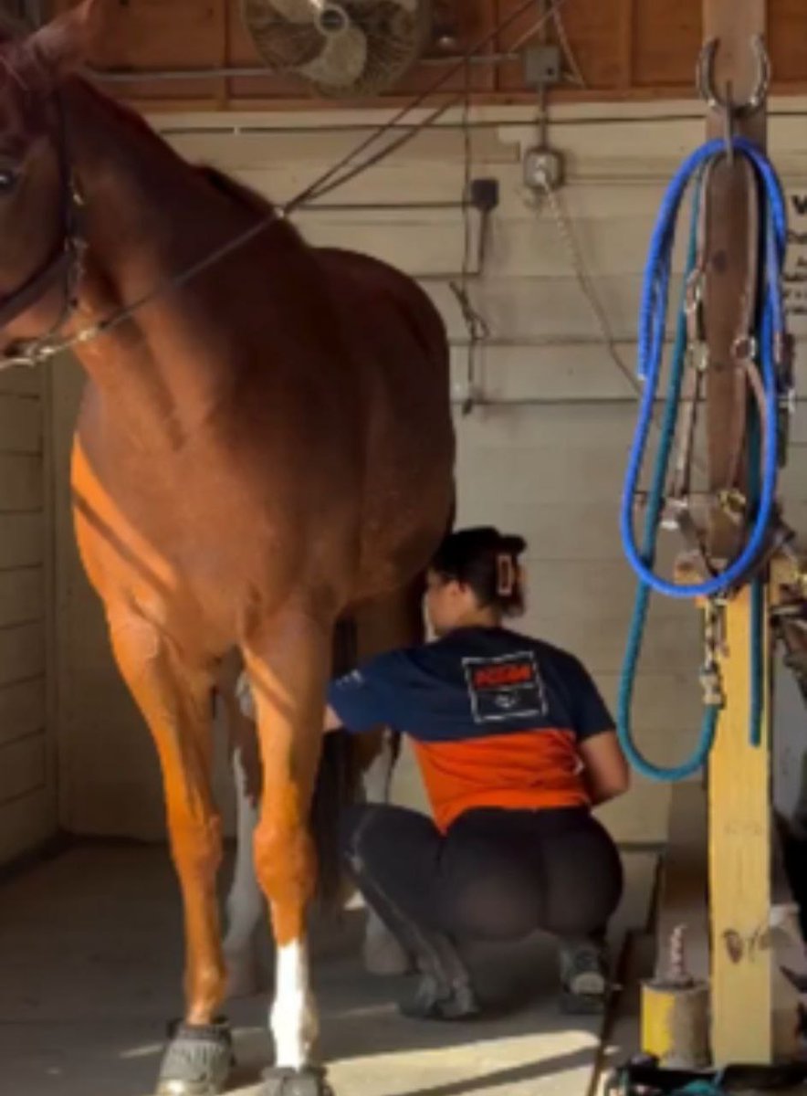 I Got Another Horse Girl video