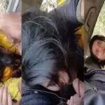 Paki college 19yr girl sucking BF dick in a car